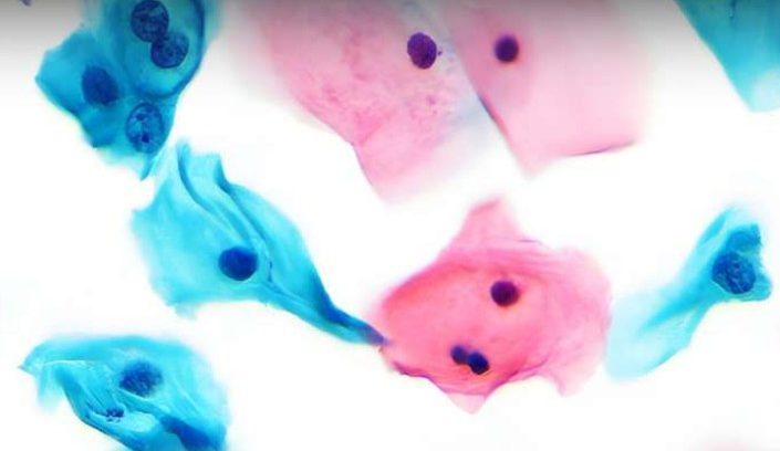 Abstract floral pattern with soft pink and blue watercolour shapes on a light background.