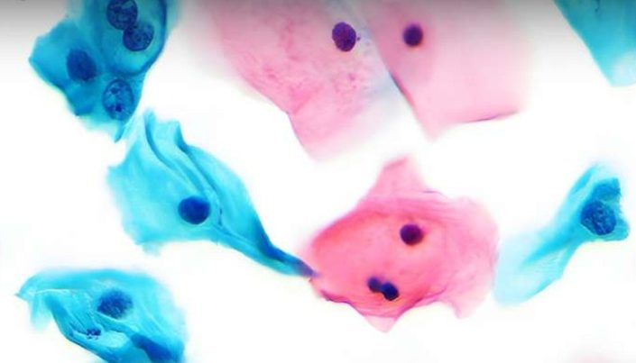 Abstract floral pattern with soft pink and blue watercolour shapes on a light background.